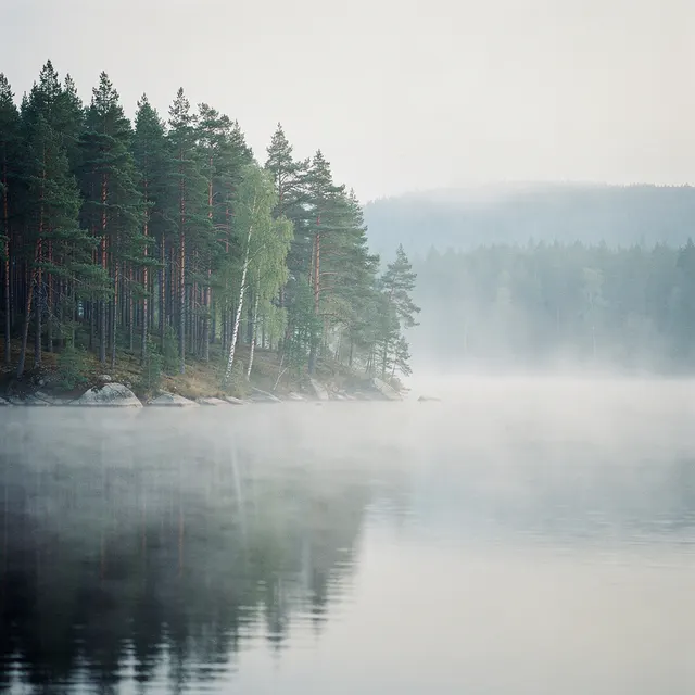 Nordic calm